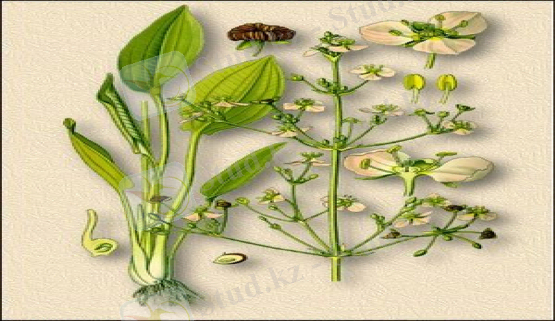 Slide 7