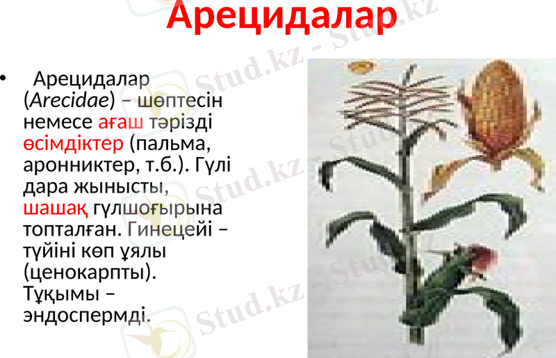 Slide 8