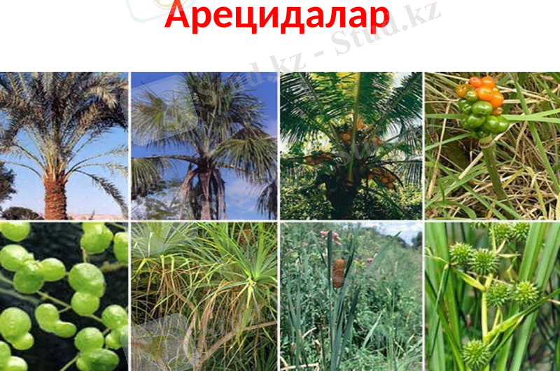 Slide 9