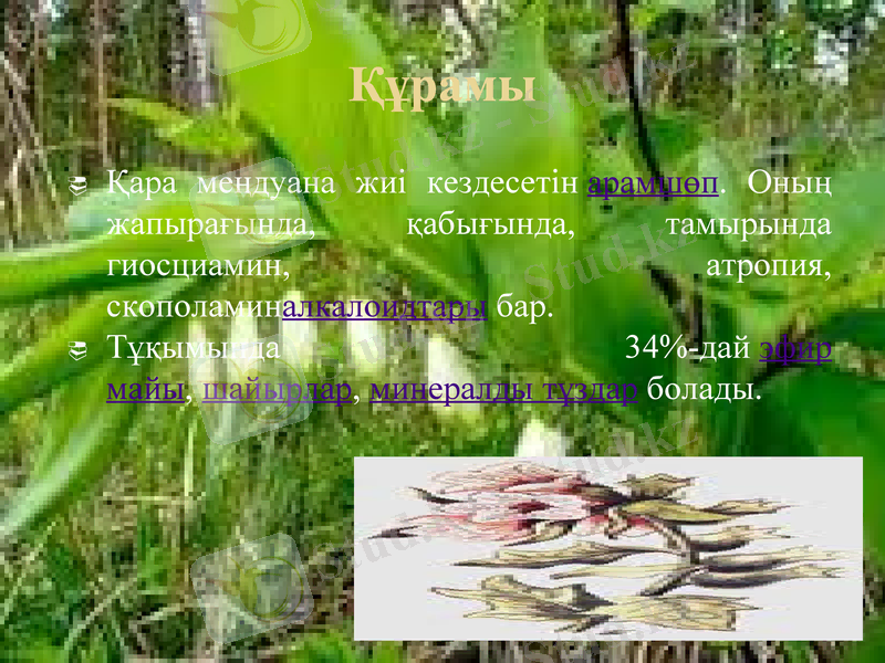 Slide 7