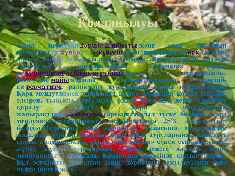 Slide 8
