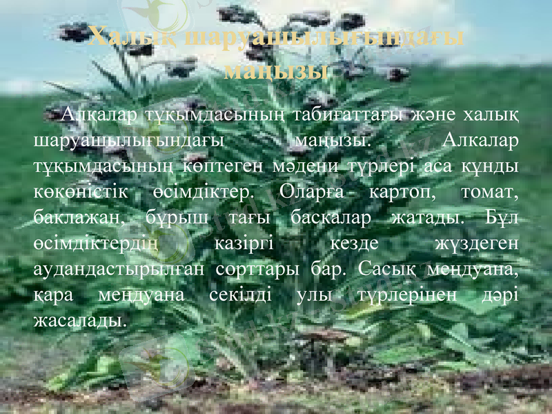 Slide 9