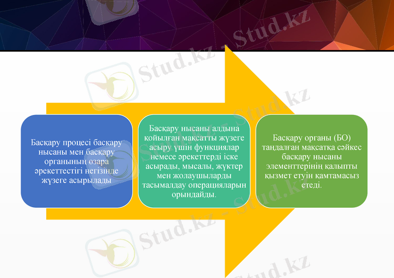 Slide 7