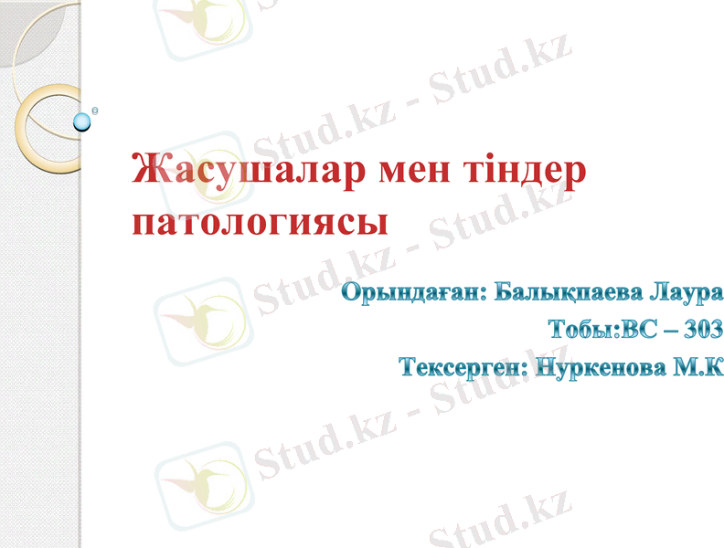 Slide 1