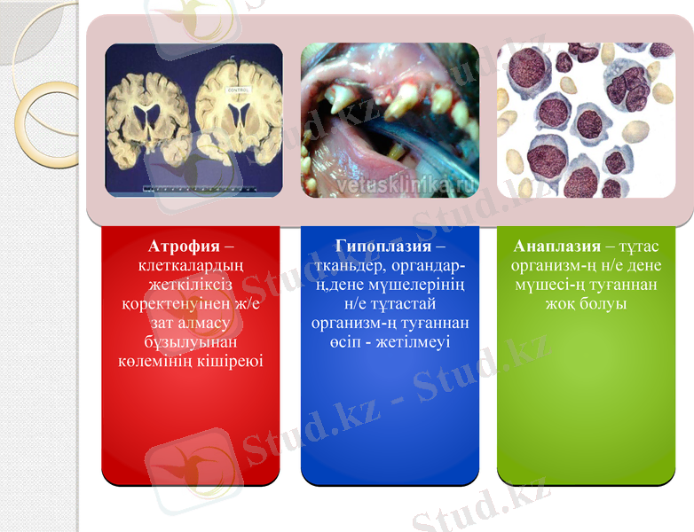 Slide 11