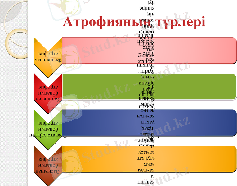 Slide 12