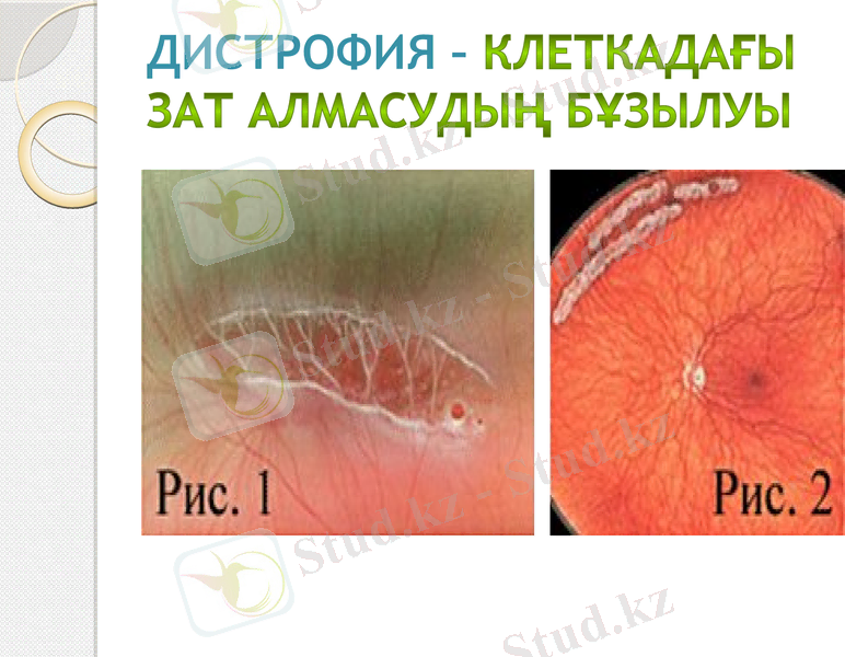 Slide 13