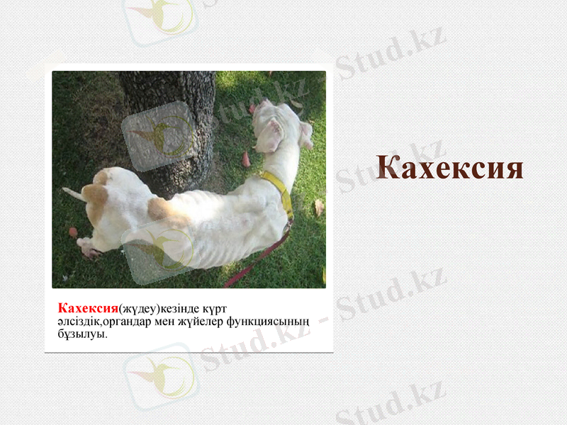 Slide 14