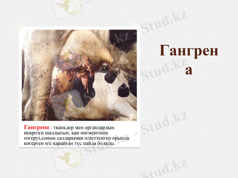 Slide 16