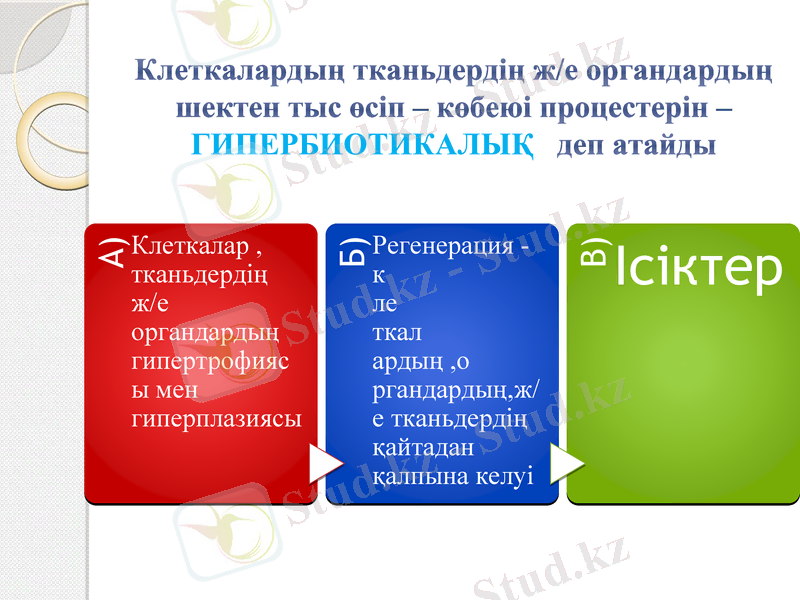 Slide 17