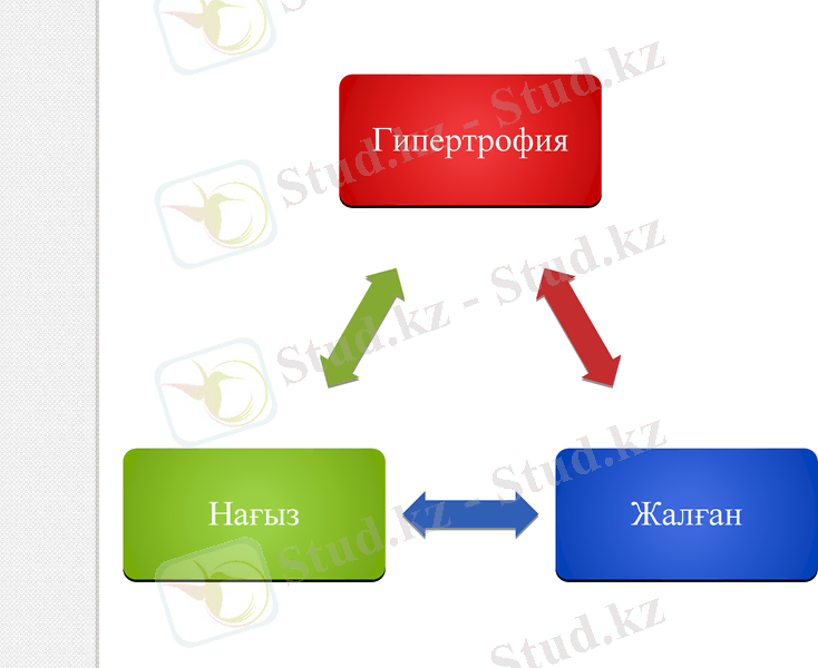 Slide 19