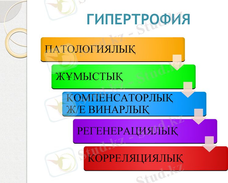 Slide 20
