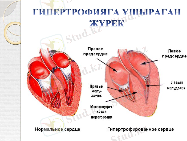 Slide 21