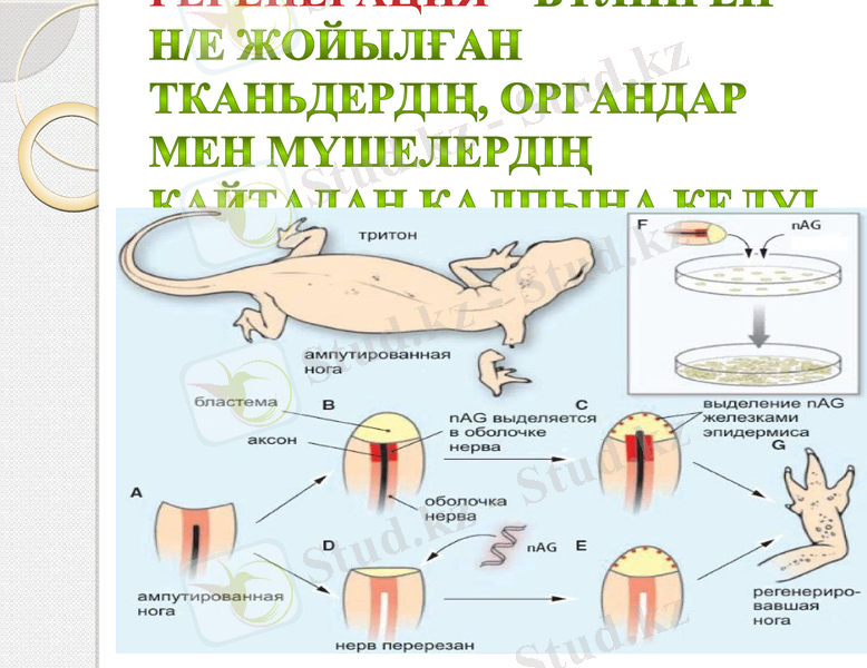 Slide 22