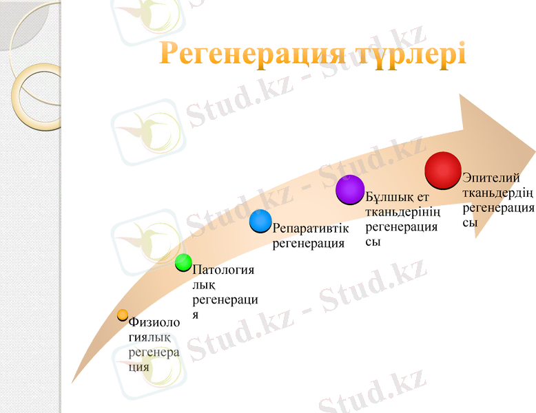 Slide 23
