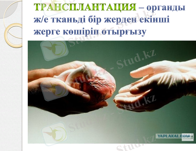Slide 24