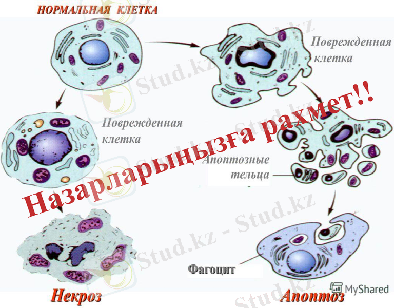 Slide 25