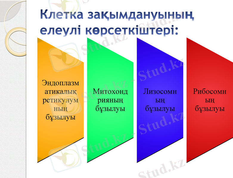 Slide 8