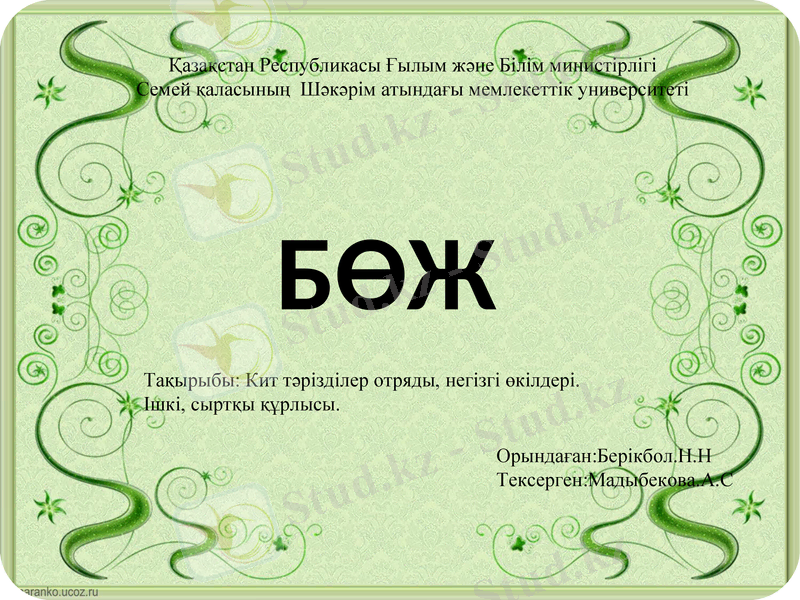 Slide 1