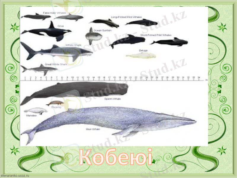 Slide 11