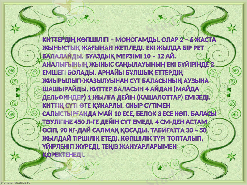 Slide 12
