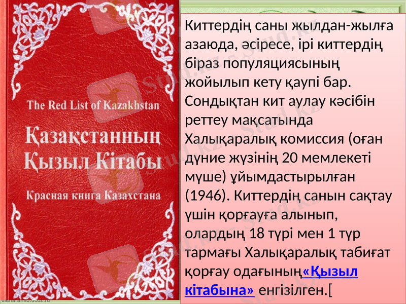 Slide 13