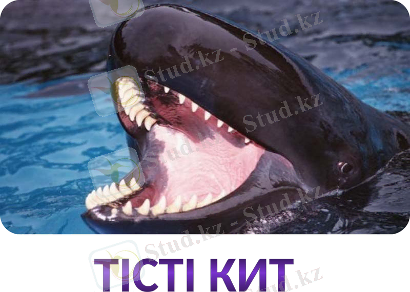 Slide 14