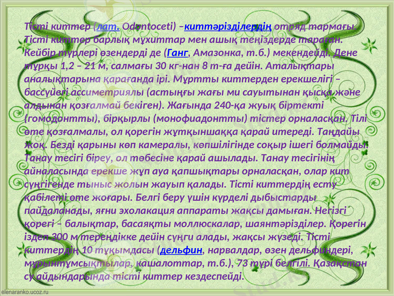 Slide 15