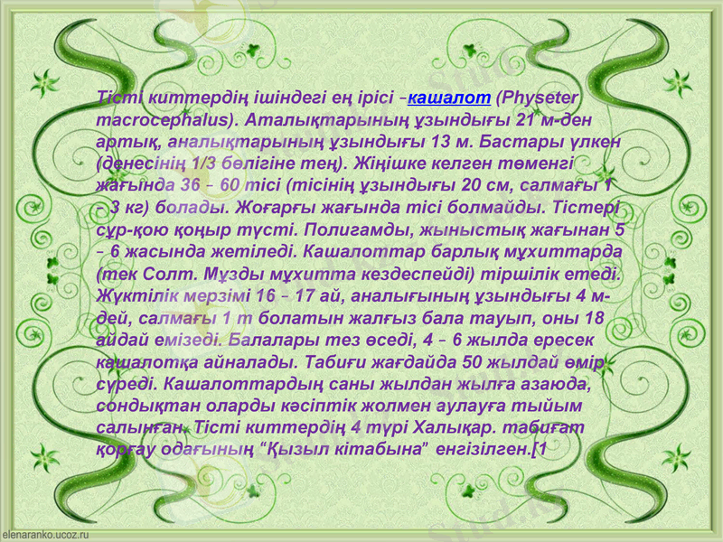 Slide 17