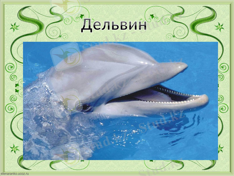 Slide 18