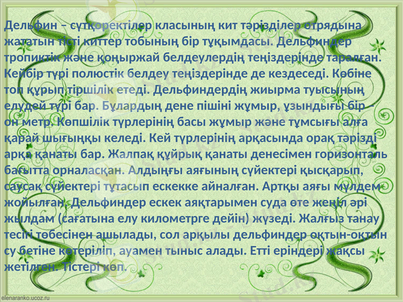 Slide 19