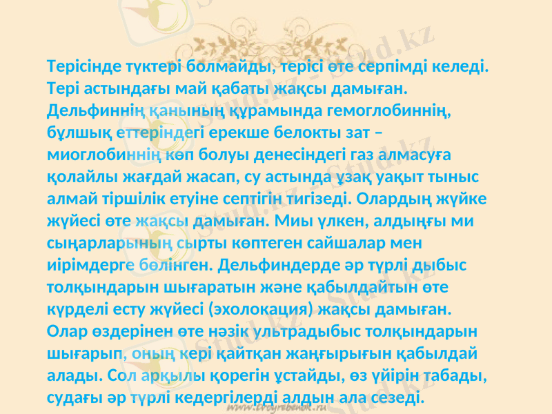 Slide 20
