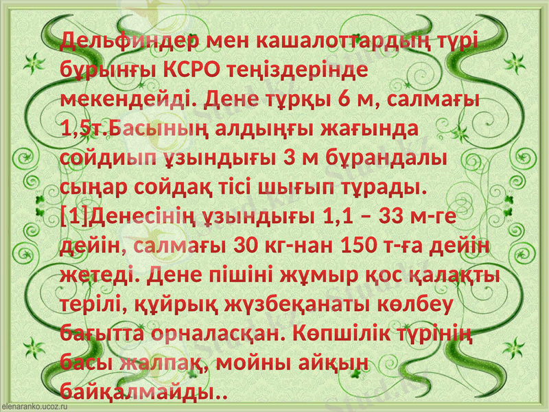 Slide 6