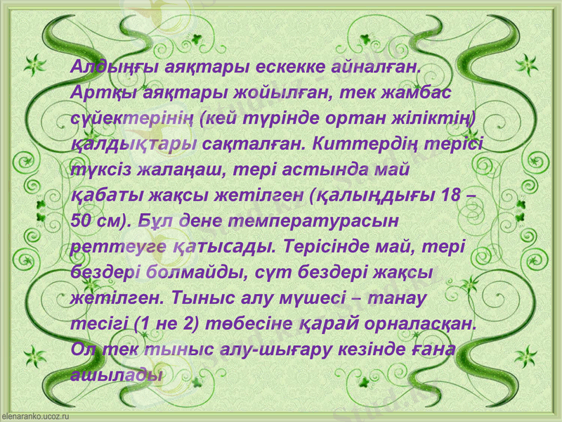 Slide 7