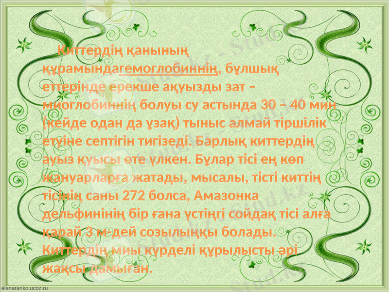 Slide 8