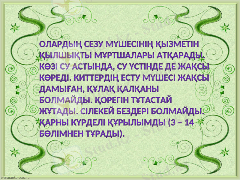 Slide 9