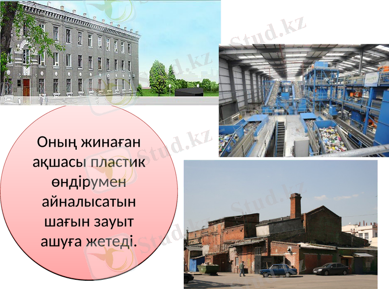 Slide 6