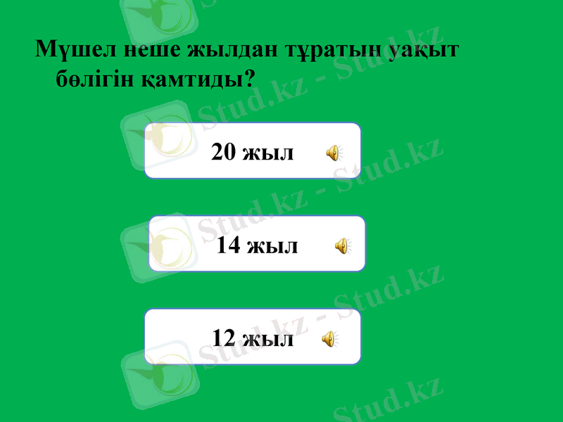 Slide 7