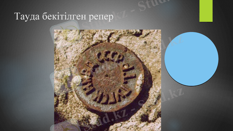 Slide 6