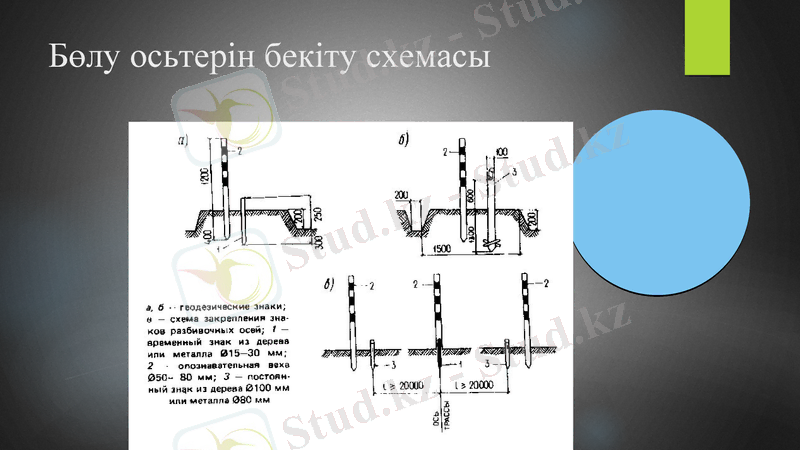 Slide 7