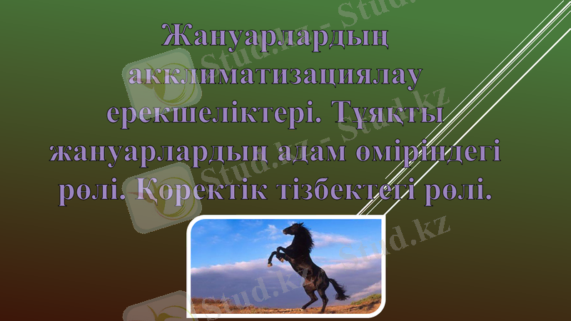 Slide 1