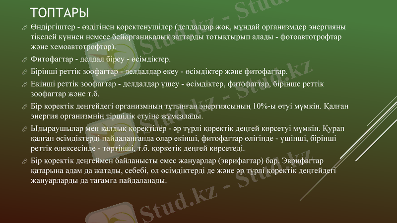 Slide 7
