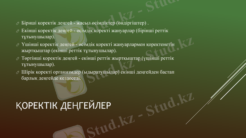 Slide 8