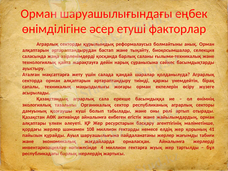 Slide 10