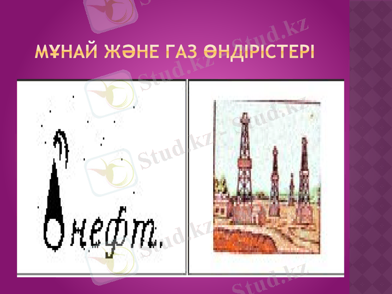Slide 11