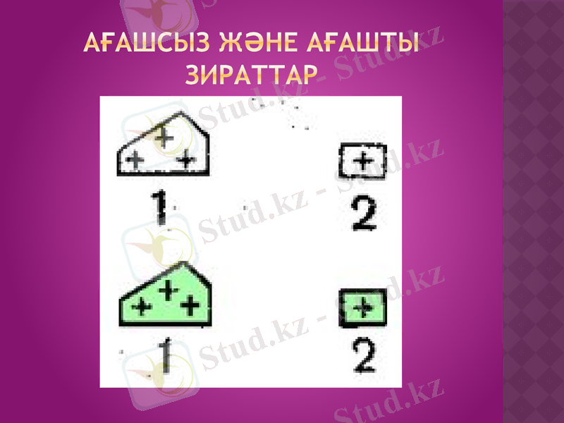 Slide 18