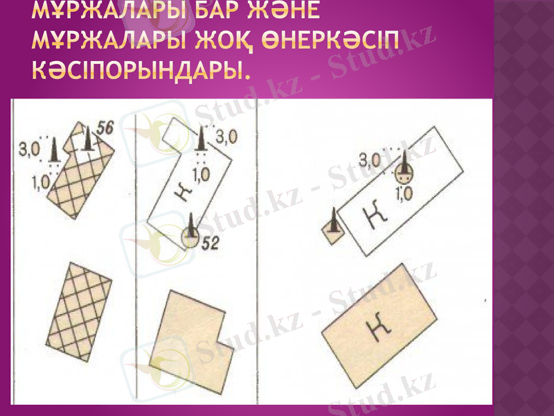 Slide 9