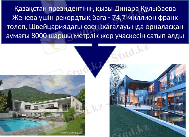 Slide 11