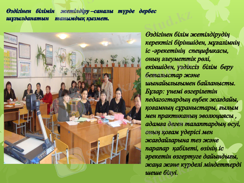 Slide 5