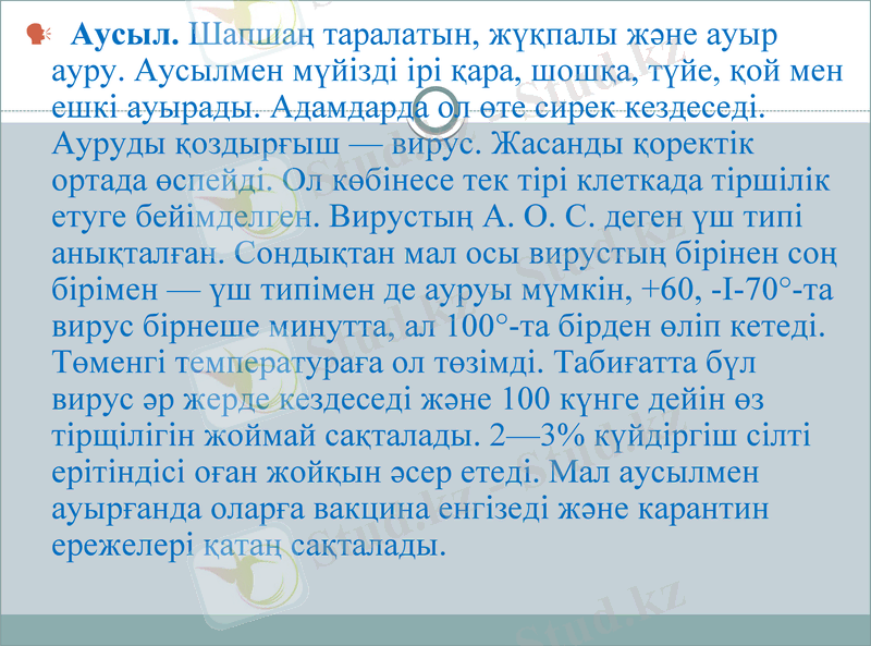 Slide 10
